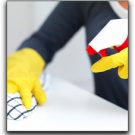 Chemical-free Cleaning For Healthier Florida Homes