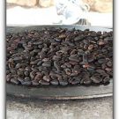 Choose Xocai for Balance of Omega-3s and Omega-6 Sources in Punta Gorda