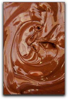 Health Chocolate in Punta Gorda