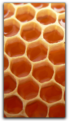 Honey Natural Remedy For Kids Coughs In Punta Gorda