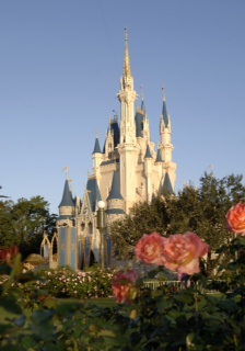 How To Make Your Trip To Walt Disney World More Affordable