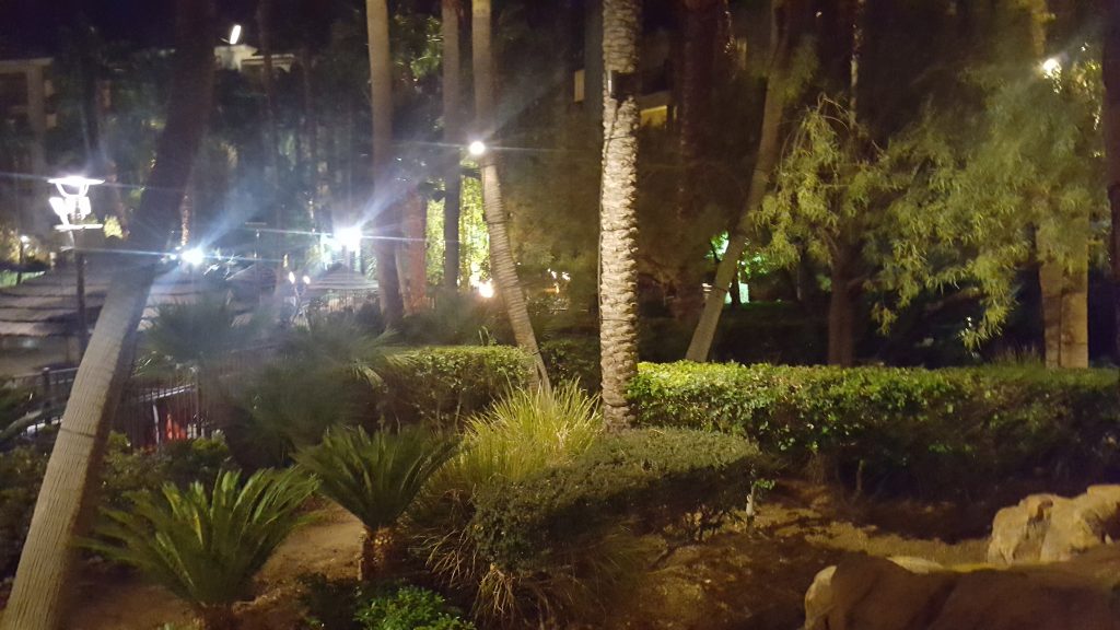 Best Ground Floor Direct Sales MLM Opportunity in 2018 The Health