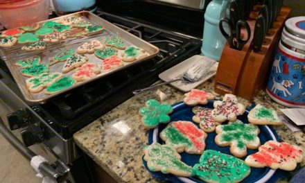 My Christmas Sugar Cookie Survival Hack