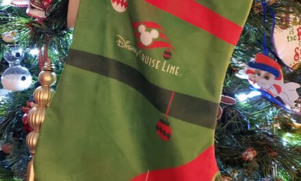 One Of A Kind Christmas Stocking Stuffer Idea