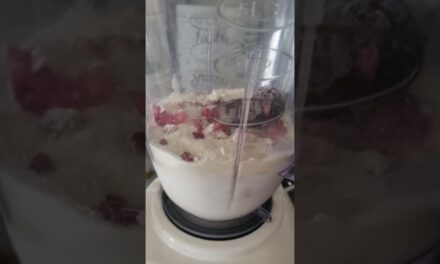 Vegan Berry Protein Shake Smoothie Recipe