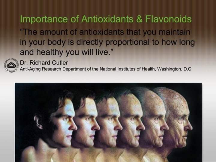 Benefits of antioxidants